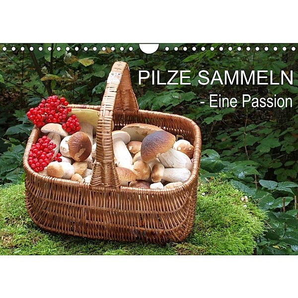 Pilze sammeln - eine Passion (Wandkalender 2023 DIN A4 quer), Rudolf Bindig