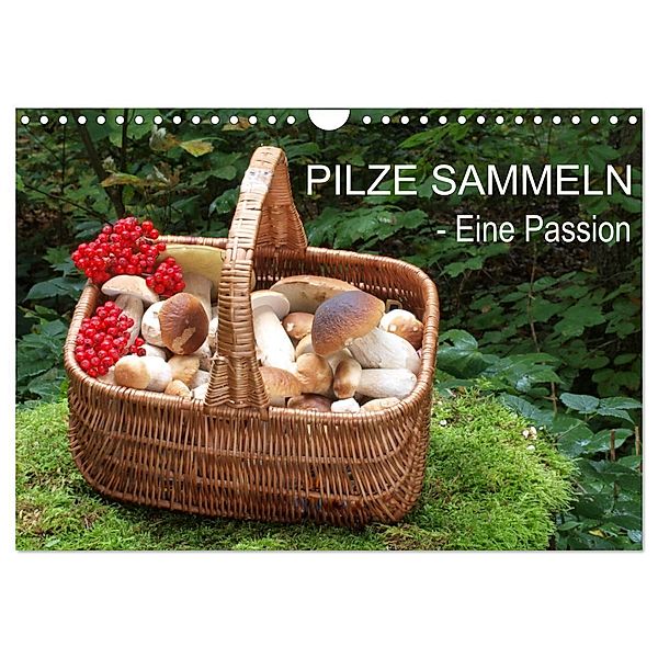 Pilze sammeln - eine Passion (Wandkalender 2025 DIN A4 quer), CALVENDO Monatskalender, Calvendo, Rudolf Bindig