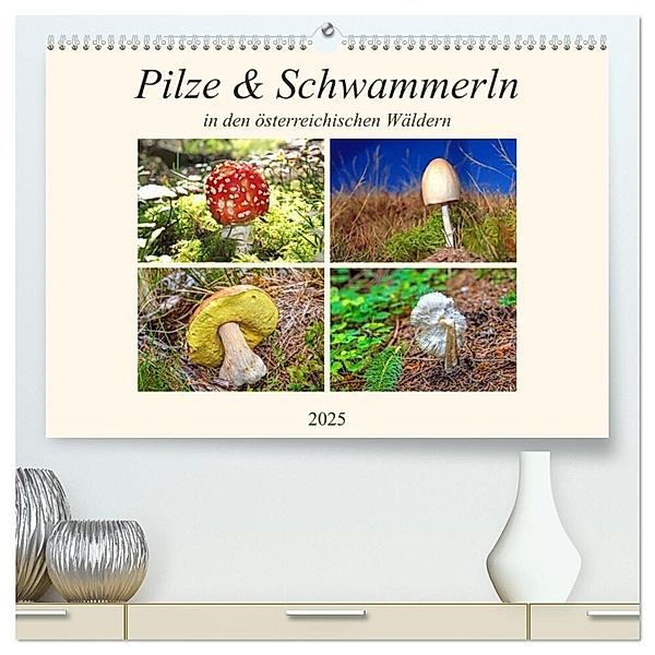 Pilze & Schwammerln (hochwertiger Premium Wandkalender 2025 DIN A2 quer), Kunstdruck in Hochglanz, Calvendo, Christa Kramer
