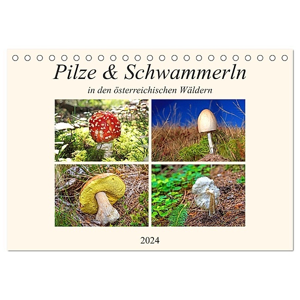 Pilze & Schwammerln (Tischkalender 2024 DIN A5 quer), CALVENDO Monatskalender, Christa Kramer