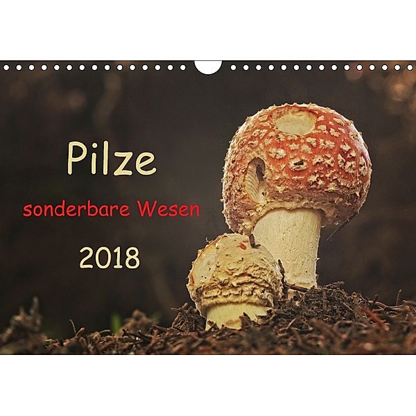 Pilze sonderbare Wesen 2018 (Wandkalender 2018 DIN A4 quer), Hernegger Arnold