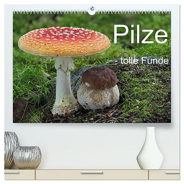 Pilze - tolle Funde (hochwertiger Premium Wandkalender 2024 DIN A2 quer), Kunstdruck in Hochglanz, Rudolf Bindig