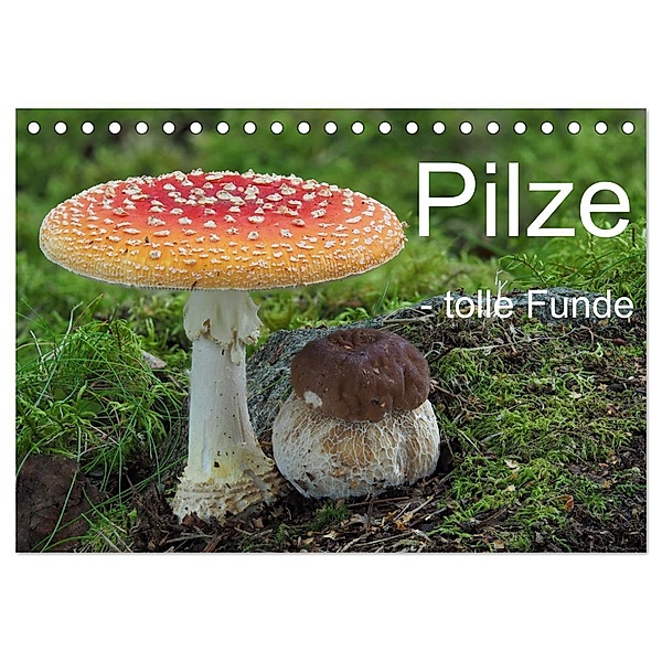 Pilze - tolle Funde (Tischkalender 2025 DIN A5 quer), CALVENDO Monatskalender, Calvendo, Rudolf Bindig