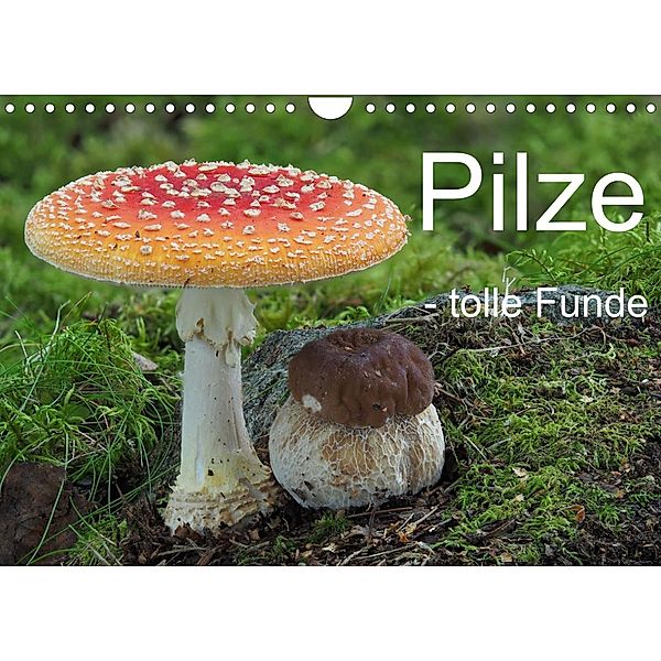 Pilze - tolle Funde (Wandkalender 2023 DIN A4 quer), Rudolf Bindig