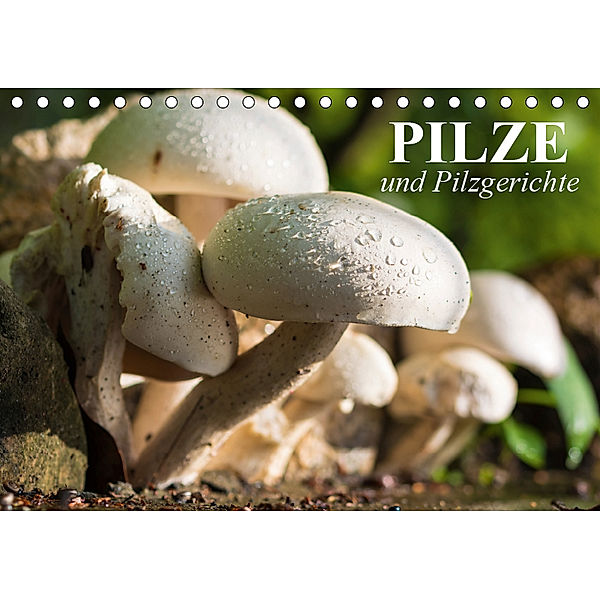 Pilze und Pilzgerichte (Tischkalender 2019 DIN A5 quer), Elisabeth Stanzer
