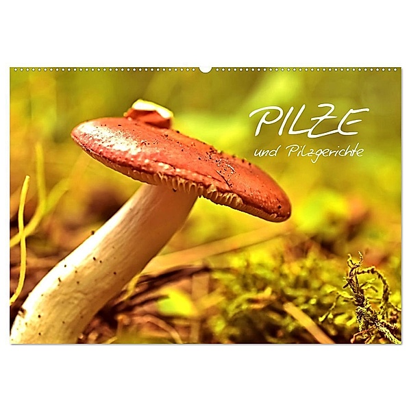 Pilze und Pilzgerichte (Wandkalender 2024 DIN A2 quer), CALVENDO Monatskalender, Elisabeth Stanzer