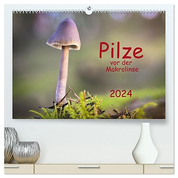 Pilze vor der Makrolinse 2024 (hochwertiger Premium Wandkalender 2024 DIN A2 quer), Kunstdruck in Hochglanz, Heinz Pompsch