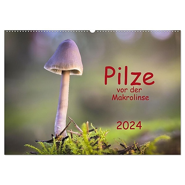 Pilze vor der Makrolinse 2024 (Wandkalender 2024 DIN A2 quer), CALVENDO Monatskalender, Heinz Pompsch