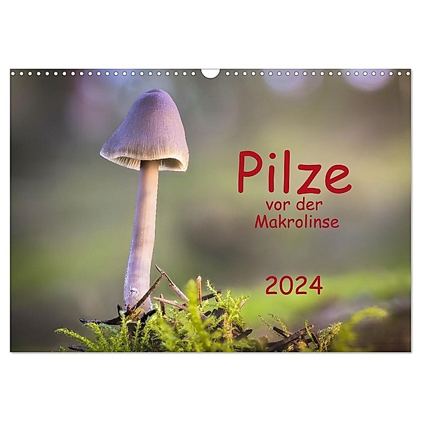 Pilze vor der Makrolinse 2024 (Wandkalender 2024 DIN A3 quer), CALVENDO Monatskalender, Heinz Pompsch