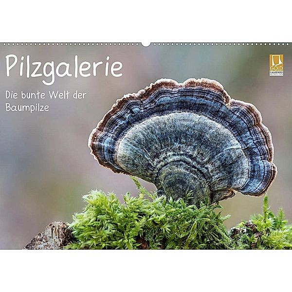 Pilzgalerie - Die bunte Welt der Baumpilze (Wandkalender 2023 DIN A2 quer), Beate Wurster