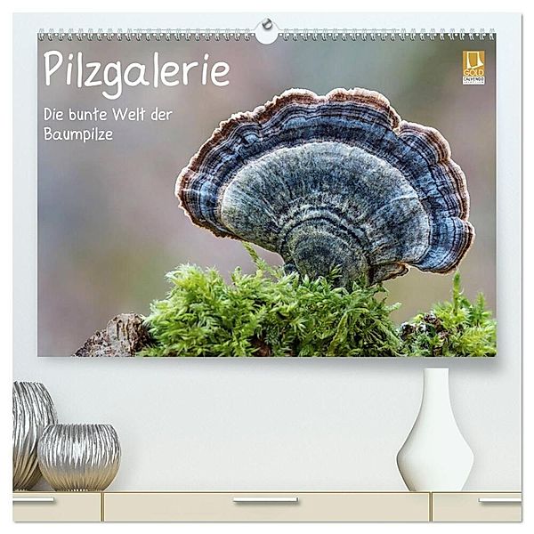 Pilzgalerie - Die bunte Welt der Baumpilze (hochwertiger Premium Wandkalender 2024 DIN A2 quer), Kunstdruck in Hochglanz, Beate Wurster