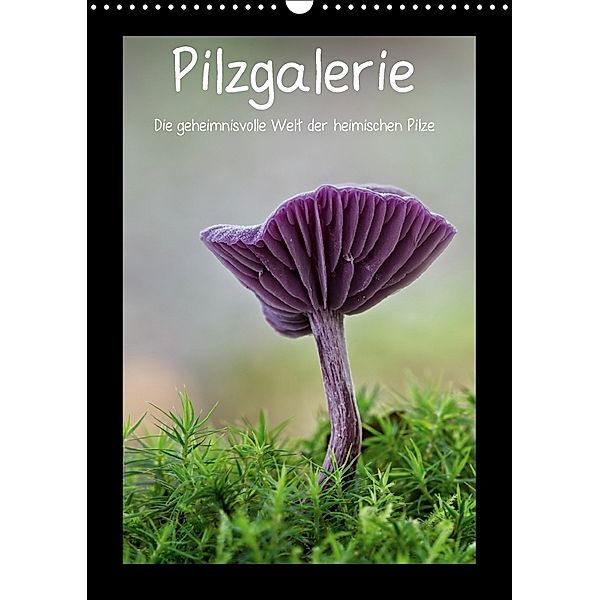 Pilzgalerie - Die geheimnisvolle Welt der heimischen Pilze (Wandkalender 2018 DIN A3 hoch), Beate Wurster