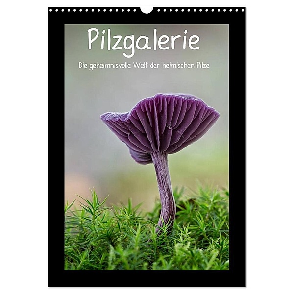 Pilzgalerie - Die geheimnisvolle Welt der heimischen Pilze (Wandkalender 2024 DIN A3 hoch), CALVENDO Monatskalender, Beate Wurster