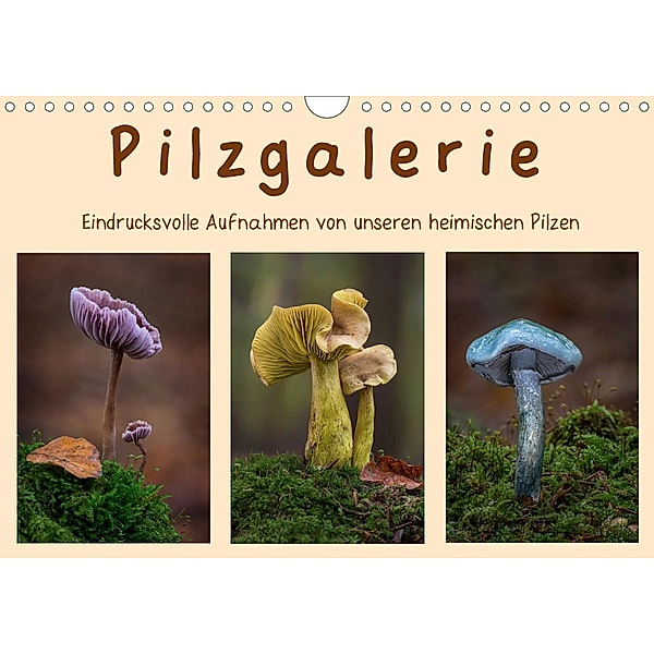 Pilzgalerie - Eindrucksvolle Aufnahmen von unseren heimischen Pilzen (Wandkalender 2021 DIN A4 quer), Beate Wurster