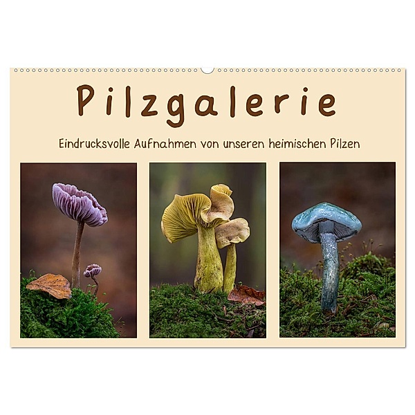 Pilzgalerie - Eindrucksvolle Aufnahmen von unseren heimischen Pilzen (Wandkalender 2024 DIN A2 quer), CALVENDO Monatskalender, Beate Wurster
