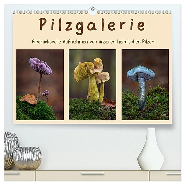 Pilzgalerie - Eindrucksvolle Aufnahmen von unseren heimischen Pilzen (hochwertiger Premium Wandkalender 2024 DIN A2 quer), Kunstdruck in Hochglanz, Beate Wurster