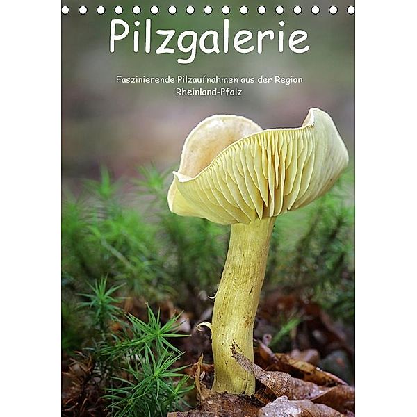 Pilzgalerie - Faszinierende Pilzaufnahmen aus der Region Rheinland-Pfalz (Tischkalender 2018 DIN A5 hoch), Beate Wurster