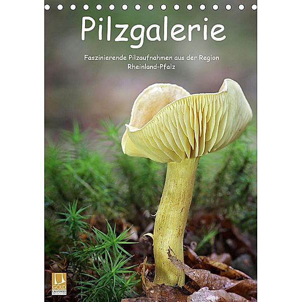 Pilzgalerie - Faszinierende Pilzaufnahmen aus der Region Rheinland-Pfalz (Tischkalender 2021 DIN A5 hoch), Beate Wurster