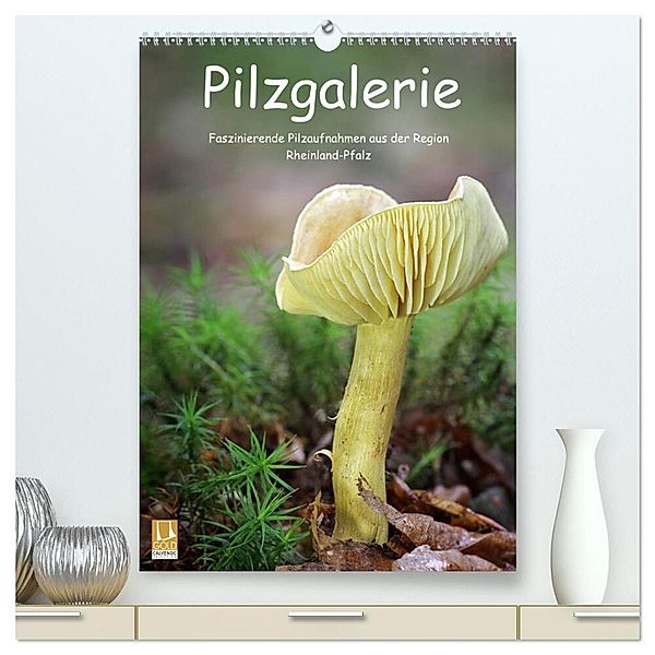 Pilzgalerie - Faszinierende Pilzaufnahmen aus der Region Rheinland-Pfalz (hochwertiger Premium Wandkalender 2024 DIN A2 hoch), Kunstdruck in Hochglanz, Beate Wurster