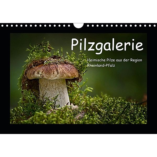 Pilzgalerie - Heimische Pilze aus der Region Rheinland-Pfalz (Wandkalender 2021 DIN A4 quer), Beate Wurster