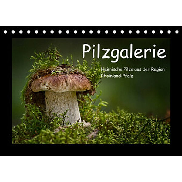 Pilzgalerie - Heimische Pilze aus der Region Rheinland-Pfalz (Tischkalender 2022 DIN A5 quer), Beate Wurster