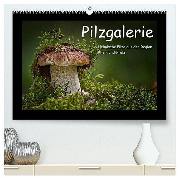 Pilzgalerie - Heimische Pilze aus der Region Rheinland-Pfalz (hochwertiger Premium Wandkalender 2024 DIN A2 quer), Kunstdruck in Hochglanz, Beate Wurster