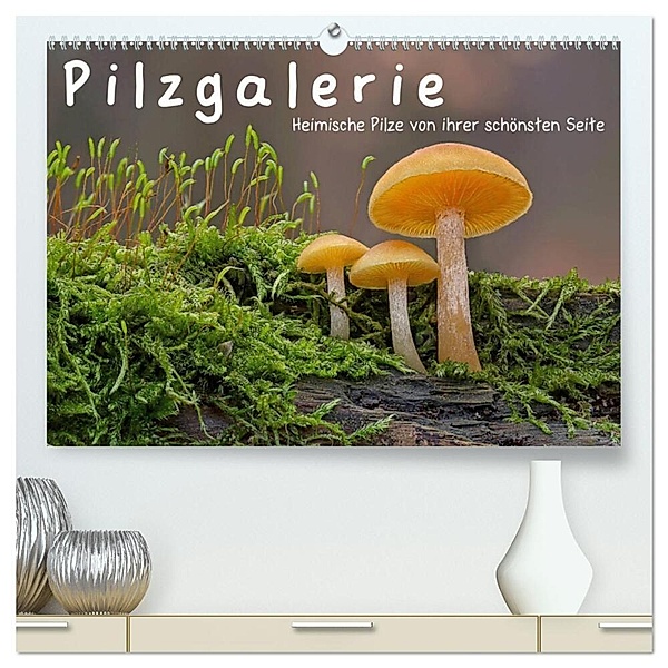 Pilzgalerie - Heimische Pilze von ihrer schönsten Seite (hochwertiger Premium Wandkalender 2024 DIN A2 quer), Kunstdruck in Hochglanz, Beate Wurster
