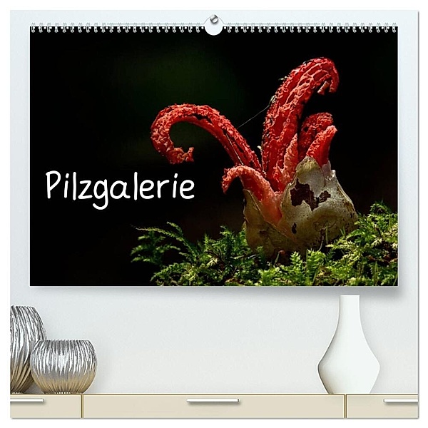 Pilzgalerie (hochwertiger Premium Wandkalender 2024 DIN A2 quer), Kunstdruck in Hochglanz, Beate Wurster