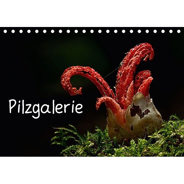 Pilzgalerie (Tischkalender 2018 DIN A5 quer), Beate Wurster