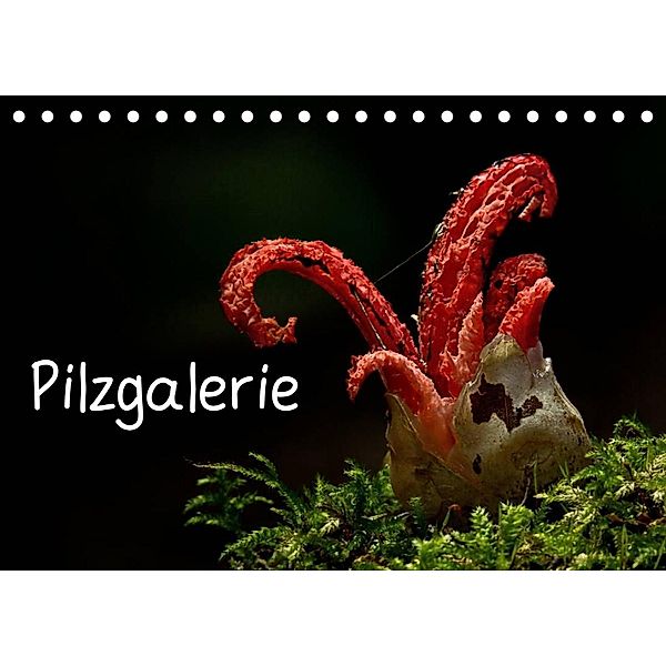 Pilzgalerie (Tischkalender 2023 DIN A5 quer), Beate Wurster