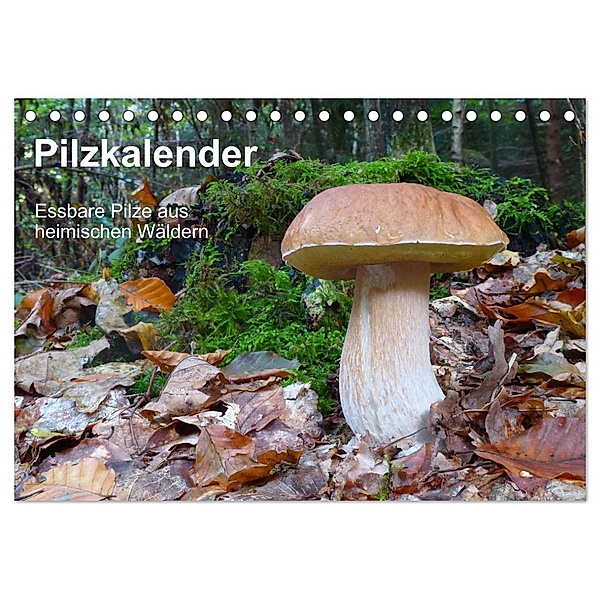 Pilzkalender (Tischkalender 2024 DIN A5 quer), CALVENDO Monatskalender, Rudolf Bindig