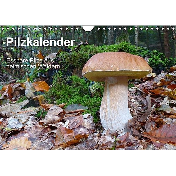 Pilzkalender (Wandkalender 2017 DIN A4 quer), Rudolf Bindig