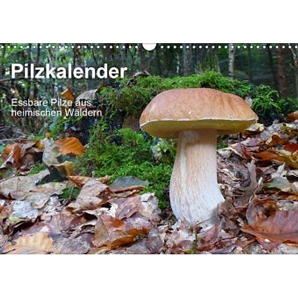 Pilzkalender (Wandkalender 2020 DIN A3 quer), Rudolf Bindig