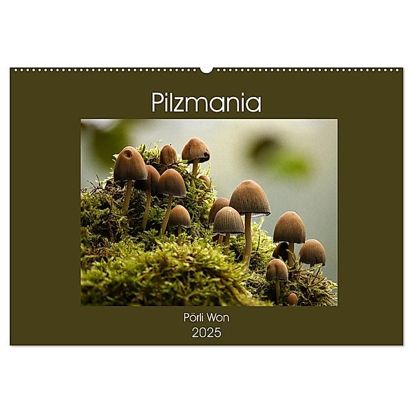 Pilzmania (Wandkalender 2025 DIN A2 quer), CALVENDO Monatskalender, Calvendo, Pörli Won