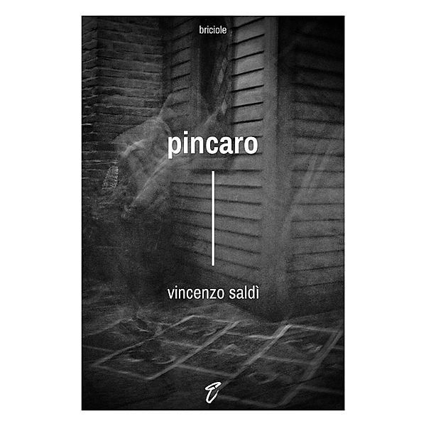 Pincaro / Briciole Bd.6, Vincenzo Saldì