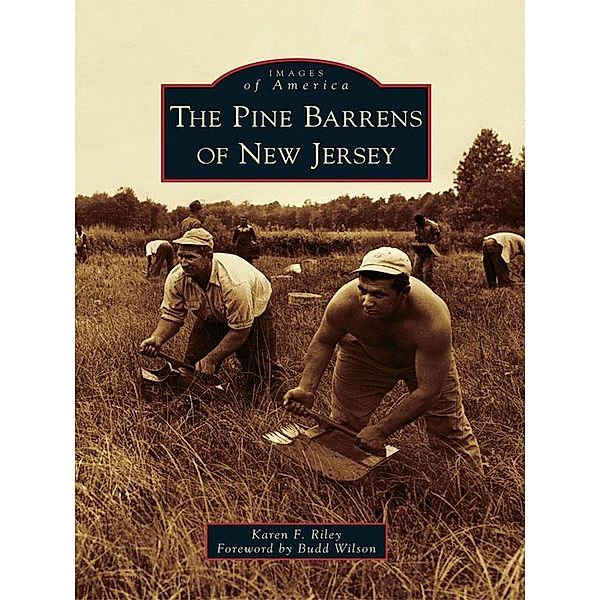 Pine Barrens of New Jersey, Karen F. Riley