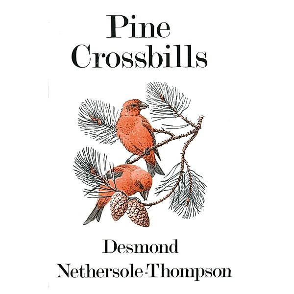 Pine Crossbills, Desmond Nethersole-Thompson