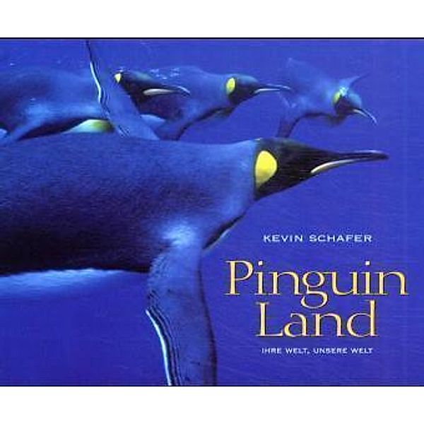 Pinguin Land, Kevin Schafer