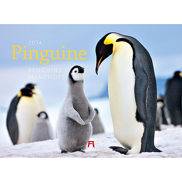 Pinguine 2014