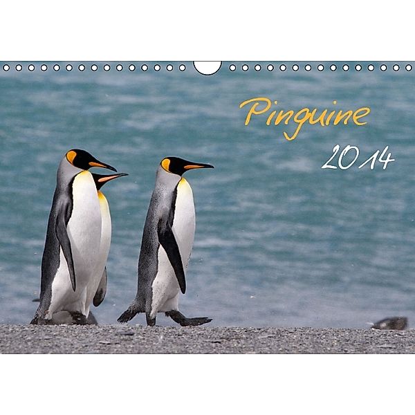 Pinguine 2014 (Wandkalender 2014 DIN A4 quer), Brigitte Schlögl
