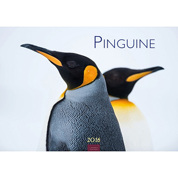 Pinguine 2016