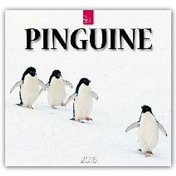 Pinguine 2016