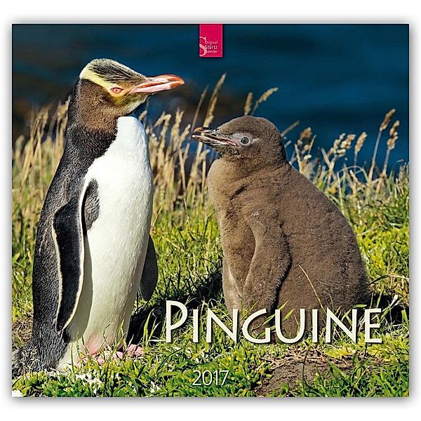 Pinguine 2017