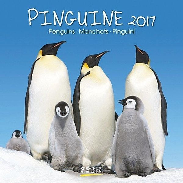 Pinguine 2017