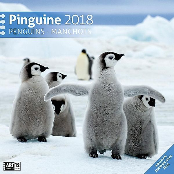 Pinguine 2018