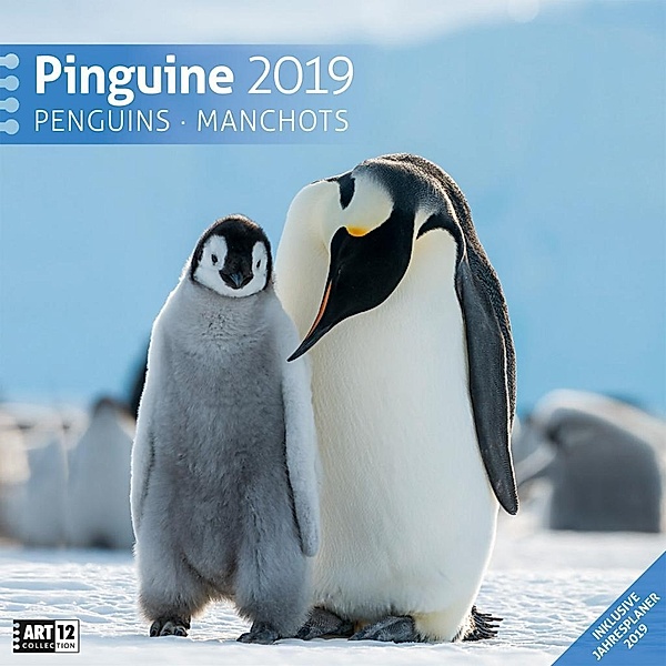 Pinguine 2019