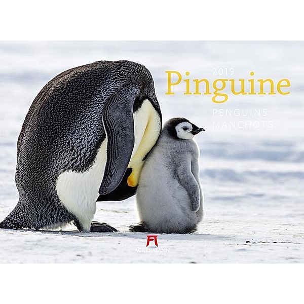 Pinguine 2019