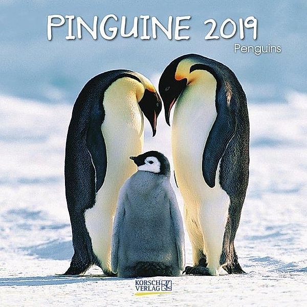 Pinguine 2019