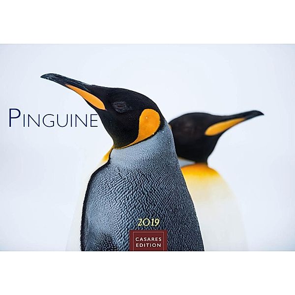 Pinguine 2019