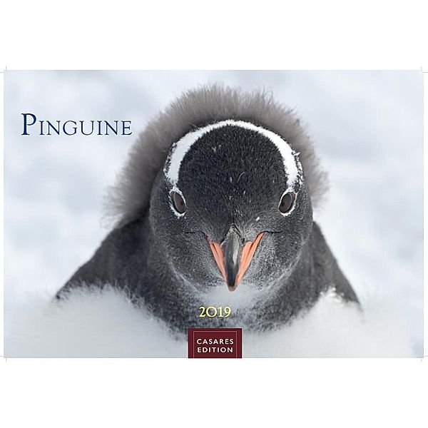 Pinguine 2019